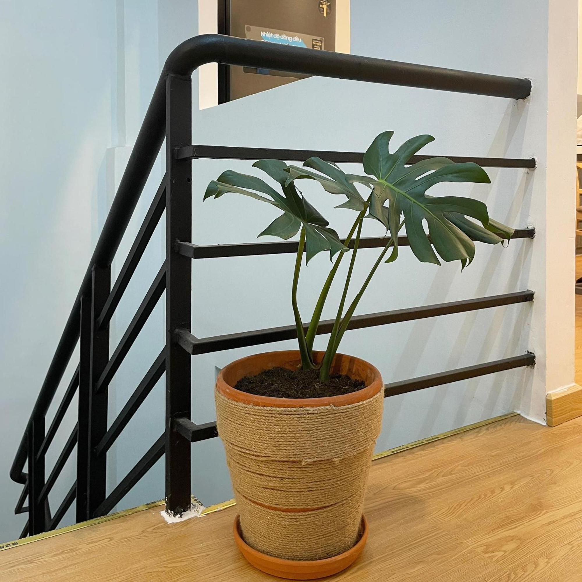 Alphabet Home Capsule Thành Pho Ho Chí Minh Esterno foto
